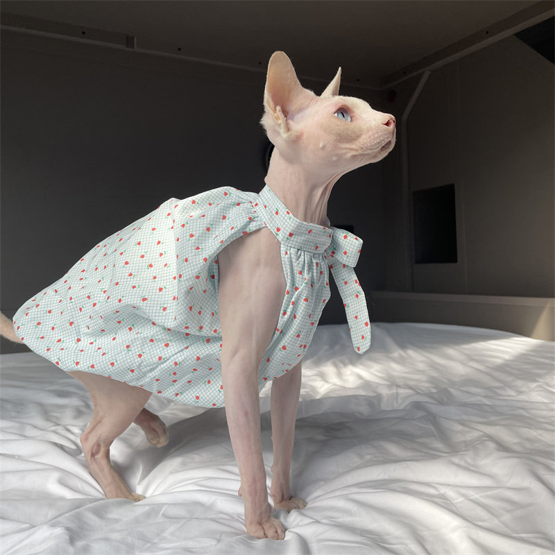 Cat Clothing in Summer Sweet L - Summer Light Clothing 评论和价格