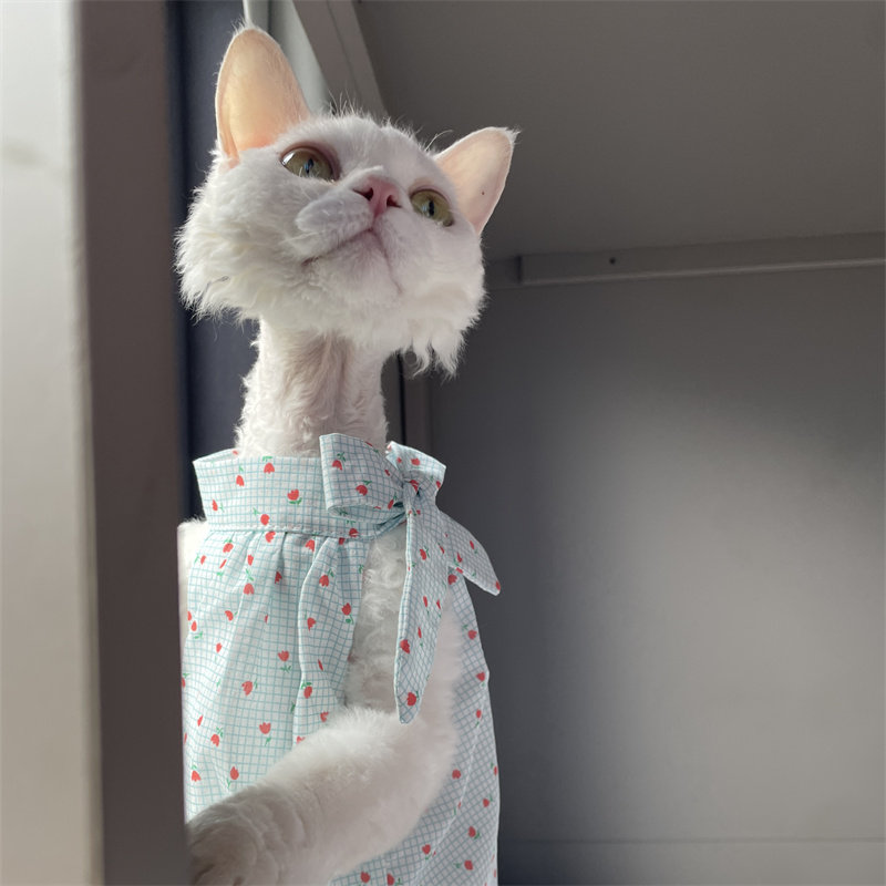 Cat Clothing in Summer Sweet L - Summer Light Clothing 评论和价格
