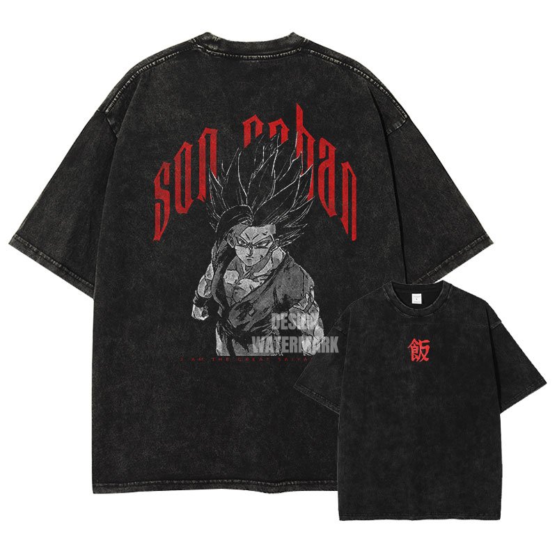Washed 2026 Summer Dragon Ball - Summer Clothing Ego 评论和价格