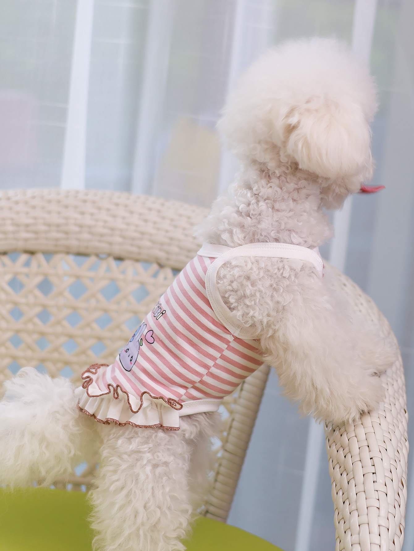 Dog vest, summer breathable th - Summer Clothing Material 评论和价格