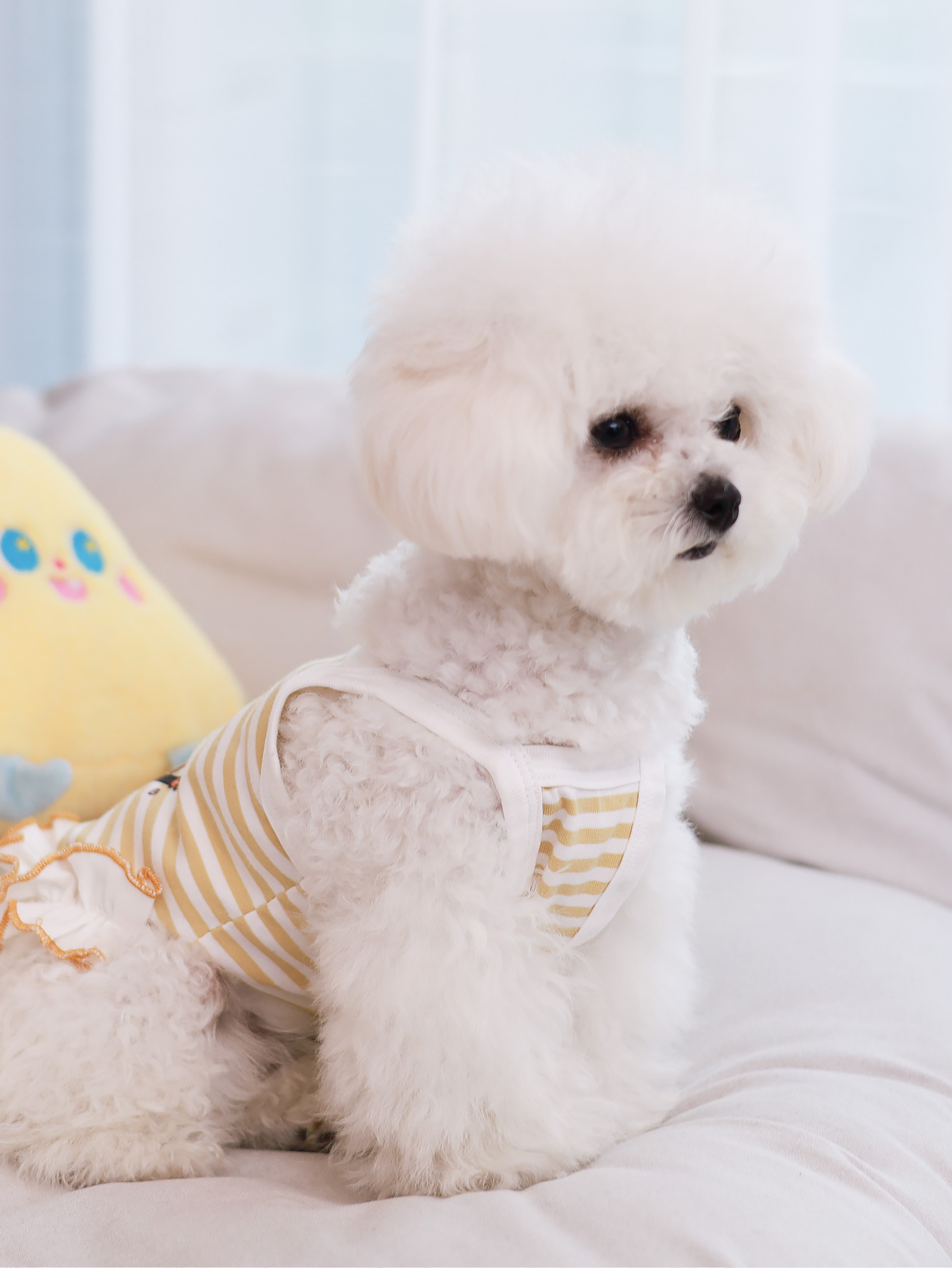 Dog vest, summer breathable th - Summer Clothing Material 评论和价格